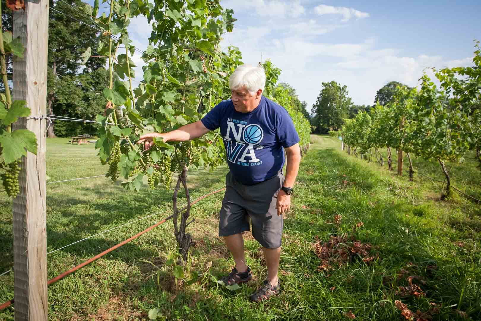 Wineries2-web.jpg
